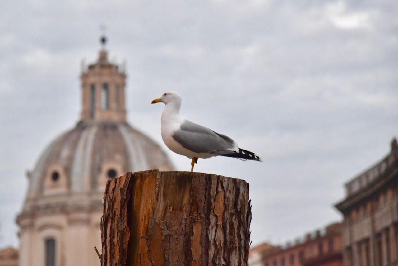 Falegnami Apartment Rome Bagian luar foto
